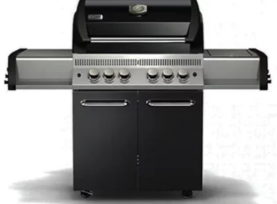 barbacoa con carro 540 paramount